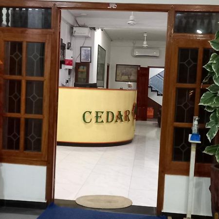 Hotel Cedar ジャフナ エクステリア 写真